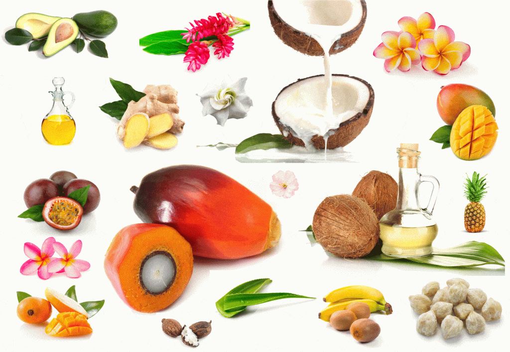 Maui-Soap-Compnay-Ingredient-Board