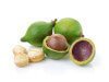 macadamia nuts on white background- Maui Soap Company