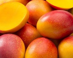 mango-picture-for-maui-soap-company-hawaiian-lip-balms-with-sunscreen-spf-the-best-tropical-soothing-lips-kiss-sun-protection